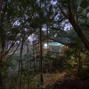 Treetops Seaview Lodge